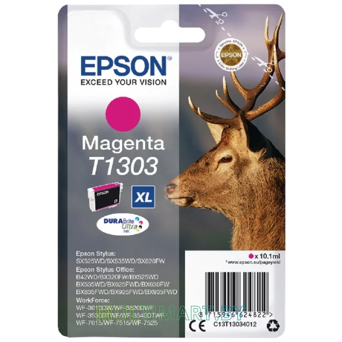 Картридж Epson C13T13034012